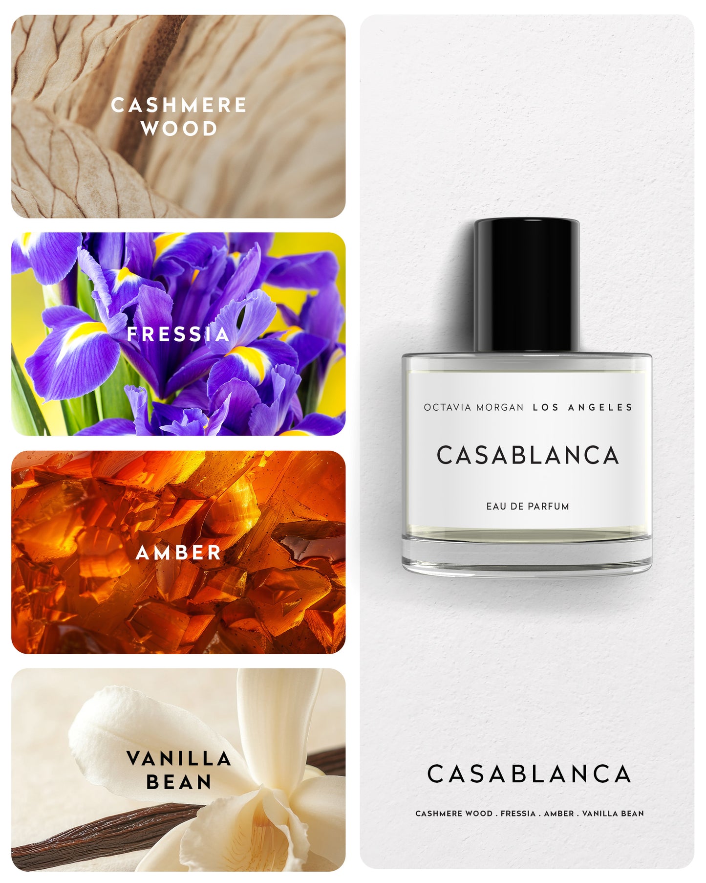 CASABLANCA EDP