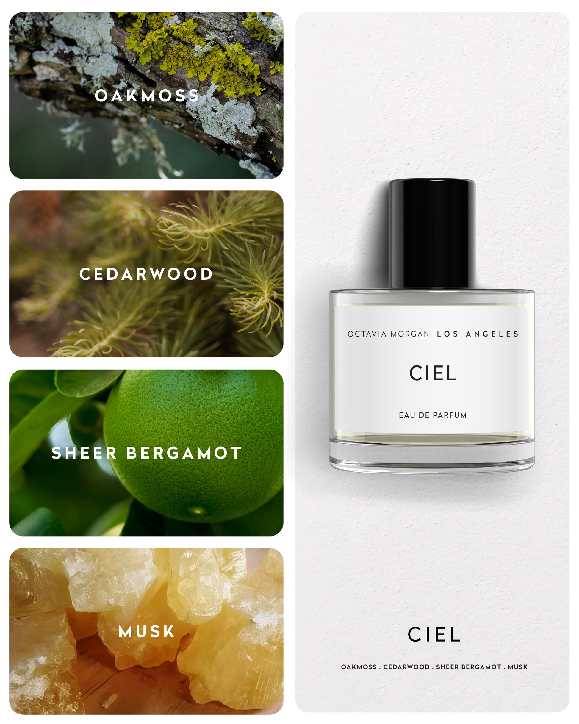 CIEL EDP - Octavia Morgan Los Angeles