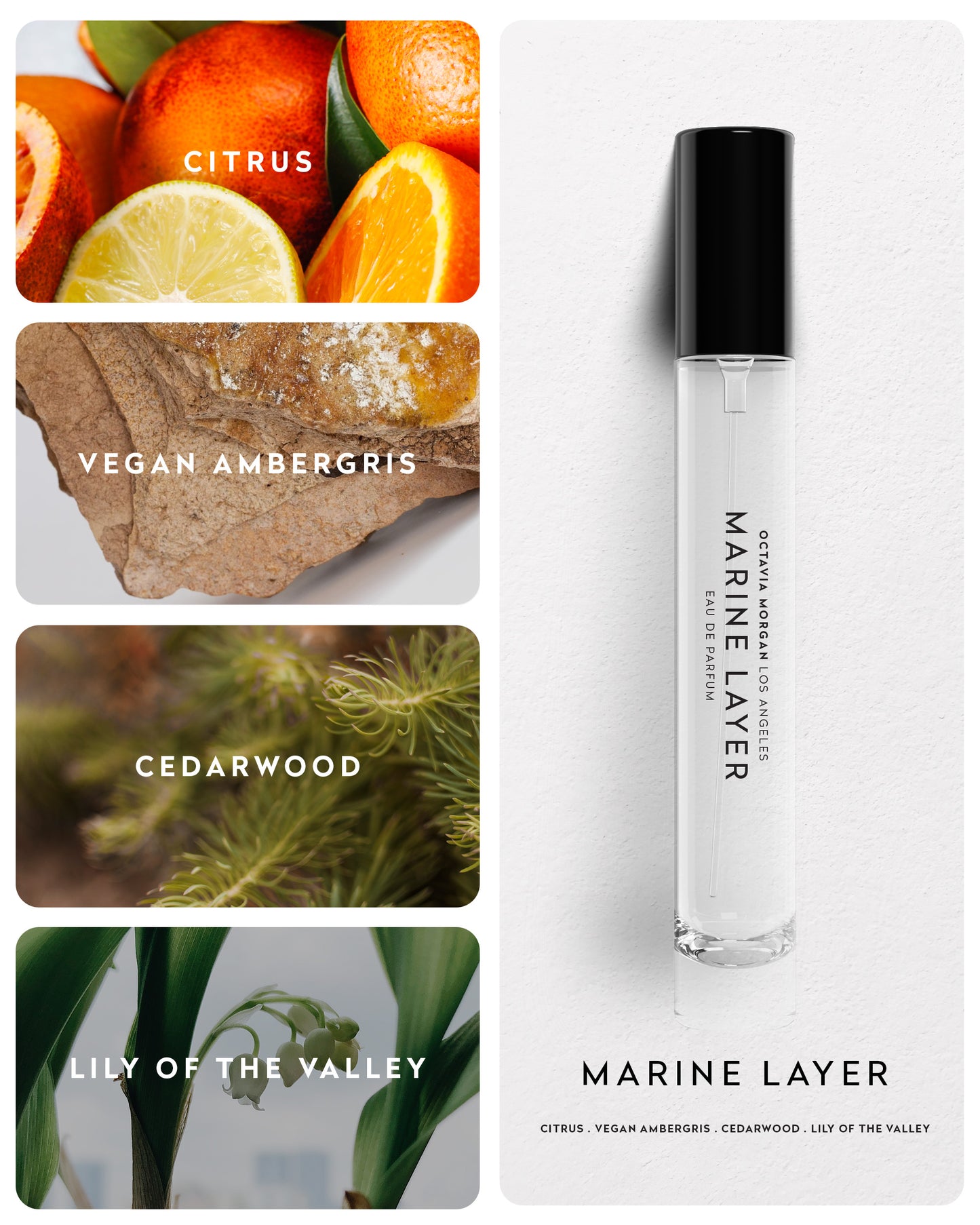 10ML MARINE LAYER EDP TRAVELER