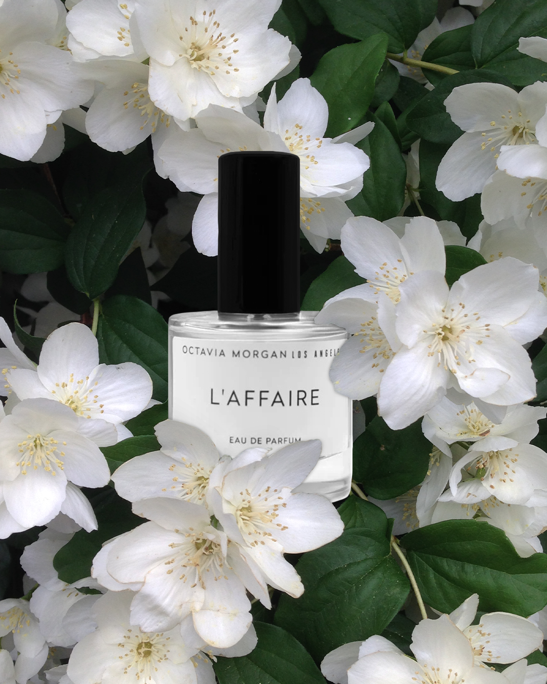 Top Tips For Finding The Perfect Gender-Neutral Perfume-Octavia Morgan Los Angeles