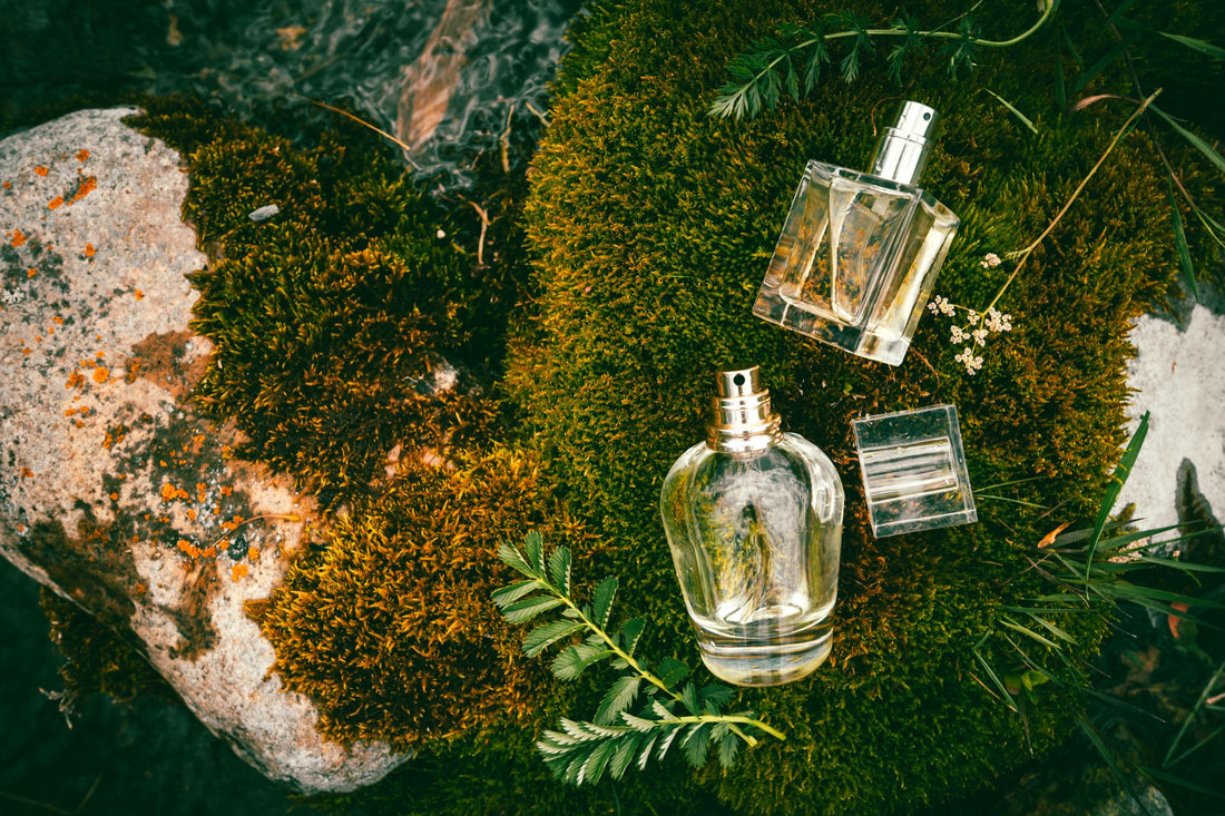 Explore Ingredients in Our Genderless Fine Fragrances