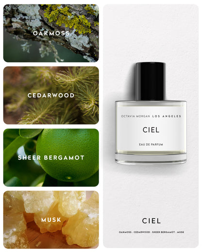 CIEL EDP